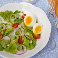 Fava Bean and Poached Egg Salad