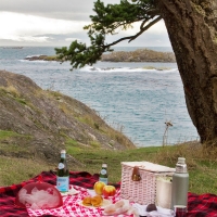 Picnic With A View (Inspiration)