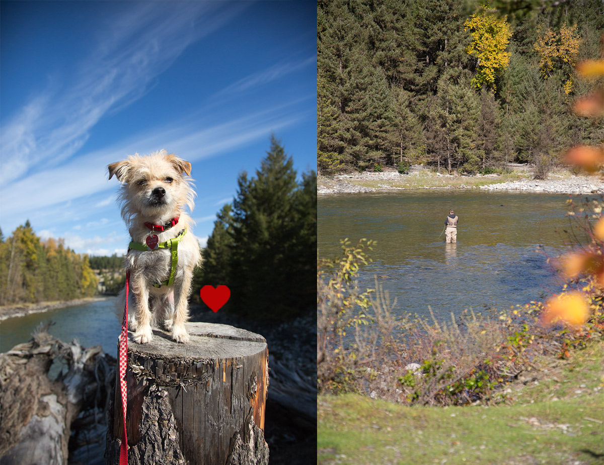 fishing the cle elum river with Oliver our sweet dog