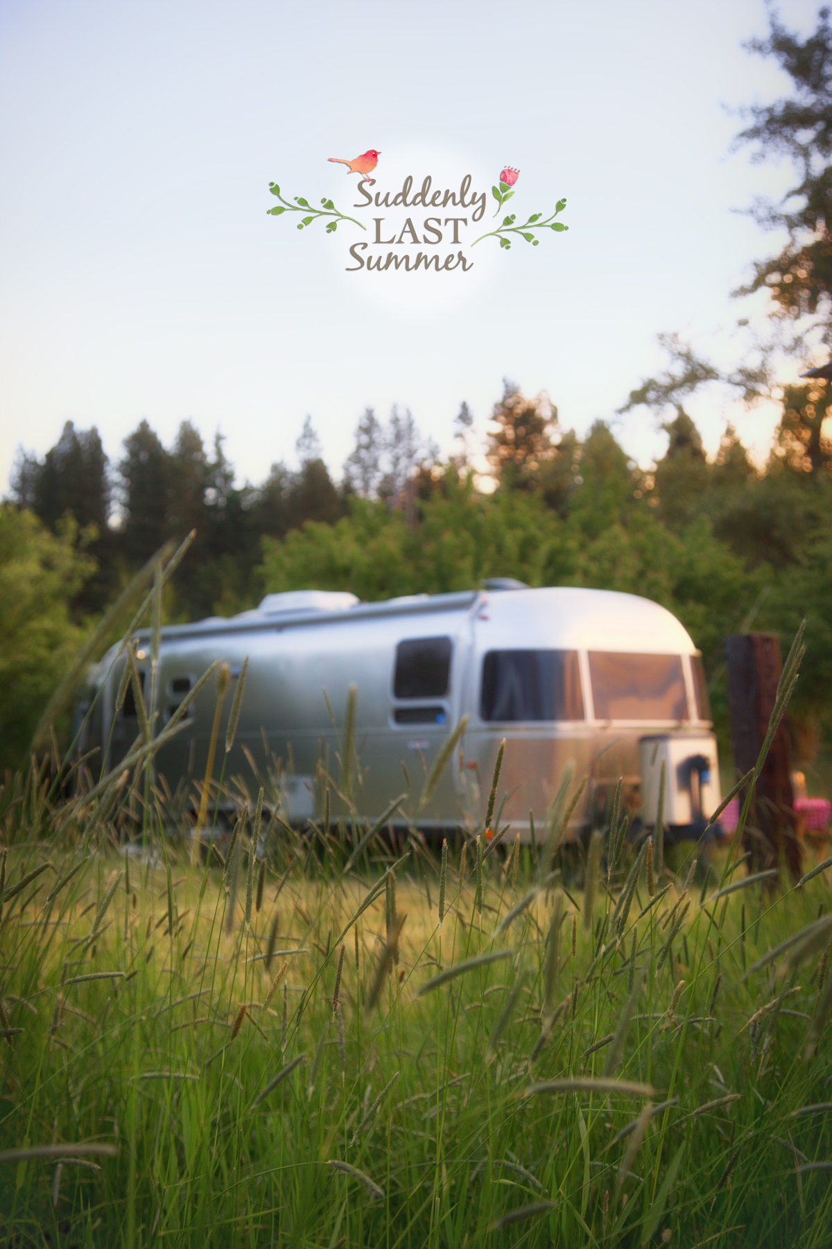 Suddenly Last Summer with our Airstream via J5MM.com