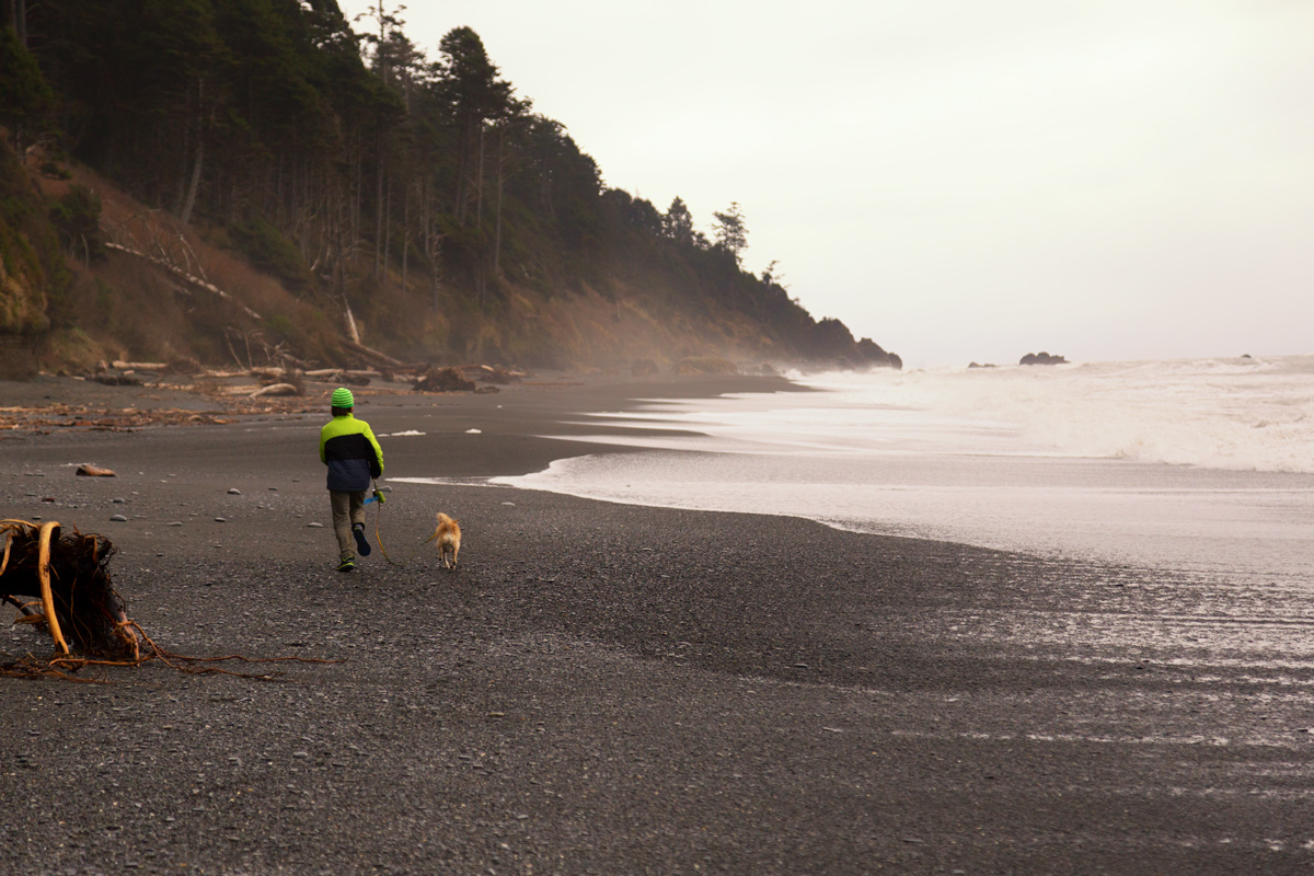 The Road To Kalaloch State Park on the Olympic Peninsula via J5MM.com // #Airstream #GoRVing