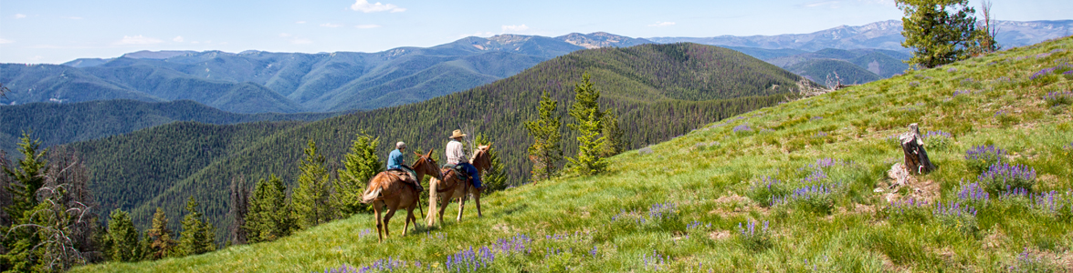 Horseback Riding Along the Idaho Montana Divide with Storm Creek Outfitters